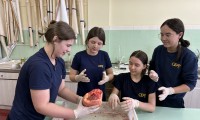 8º ano do CEAP realiza estudo sobre o Sistema Cardiovascular